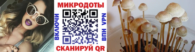 Галлюциногенные грибы GOLDEN TEACHER  закладки  Октябрьский 